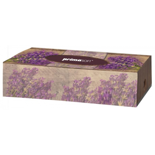 Kosmetiktücher 20 x 20 cm 100 Stk. per Box 2-lagig