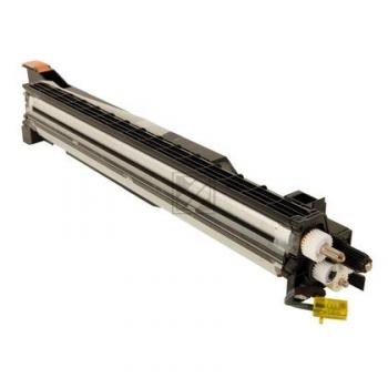 Original Ricoh D8093004 / G0338 Entwicklereinheit