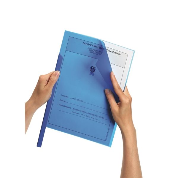 Durable 2919 Präsentations-Mappe Polypropylen (PP) Blau