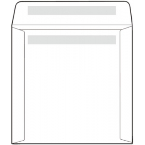 CD/DVD Papierumschlag, 125 x 125 mm, mit Fenster, 100 Stück