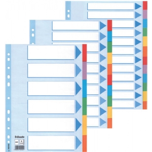 Farbregister 5tlg A4 blanko ESSELTE 100191 Karton